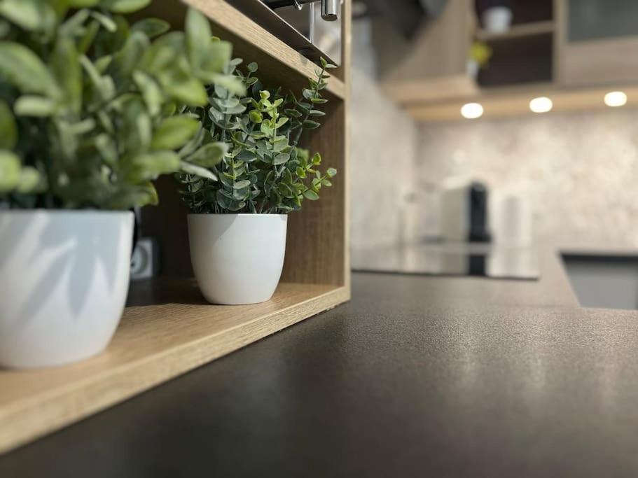 Appartement T2 Vue Panoramique Sur Annecy 시노드 외부 사진